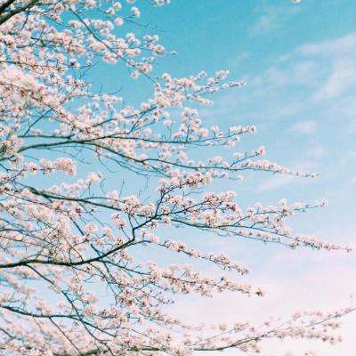 半岛APP下载截图